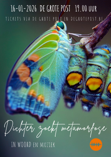 Dichterzoekmetamorfose26